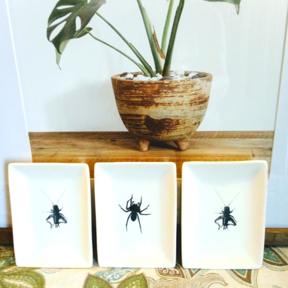 Ceramic Insect Crickets Spider Bug Dish/Wall Art